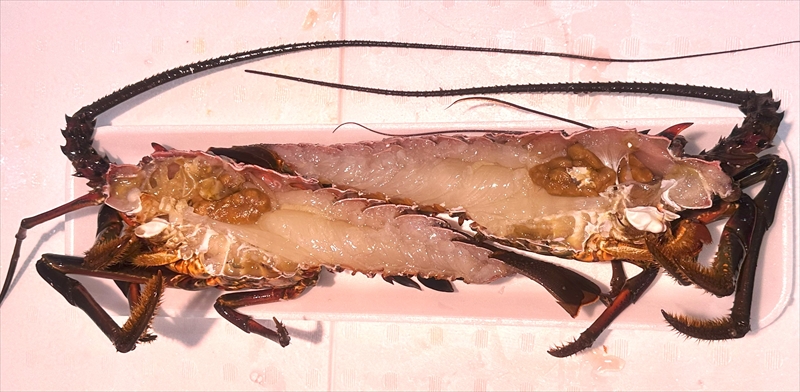 【茨城県産ブランド】常陸乃国いせ海老ステーキ【 伊勢海老 茨城県 日立市 】