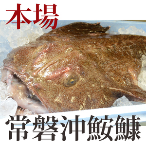 【2026年2月発送】常磐沖のあんこう鍋セット（3～4人前）〈出荷時期:2026年2月1日出荷開始～2026年2月25日出荷終了〉