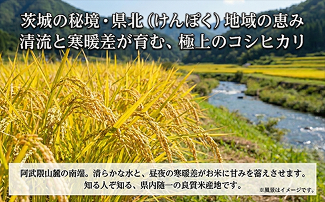 【令和７年産】特選こしひかり　「常陸の恵」5kg 【 お米 五ツ星 お米マイスター HACCP 取得 低温精米 高品質 ご飯 美味しい米 ブランド米 特産物 あさや米穀 茨城県 日立市 】
