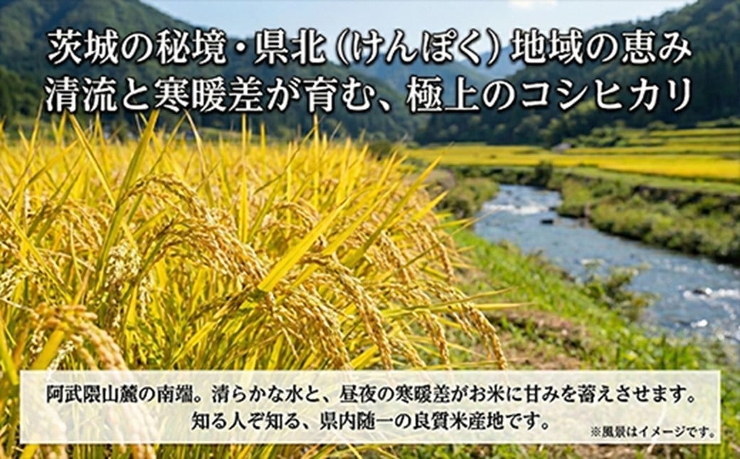 【令和７年産】特選こしひかり　「常陸の恵」１０kg 【 お米 五ツ星 お米マイスター HACCP 取得 低温精米 高品質 ご飯 美味しい米 ブランド米 特産物 あさや米穀 茨城県 日立市 】
