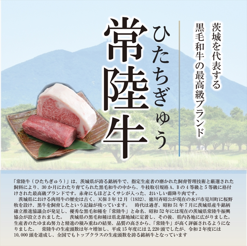 Ａ－13　ホテル料理長監修　茨城県が誇る黒毛和牛「常陸牛」100％ハンバーグ　100ｇ×2個＜2025年2月頃～順次発送＞【黒毛和牛】【冷凍ハンバーグ 茨城県 日立市】