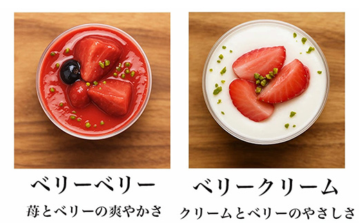 乳酸菌スイーツアソート10個入 　パティスリー天使のおくりもの　※離島への配送不可