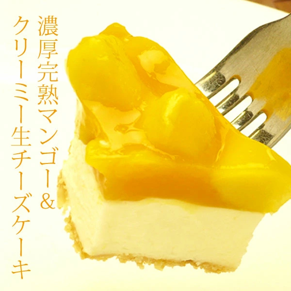 クリスマスケーキ　マンゴー レア チーズケーキ 5号 4-6人分　パティスリー天使のおくりもの ※離島への配送不可 ※2025年12月上旬～12月下旬頃に順次発送予定