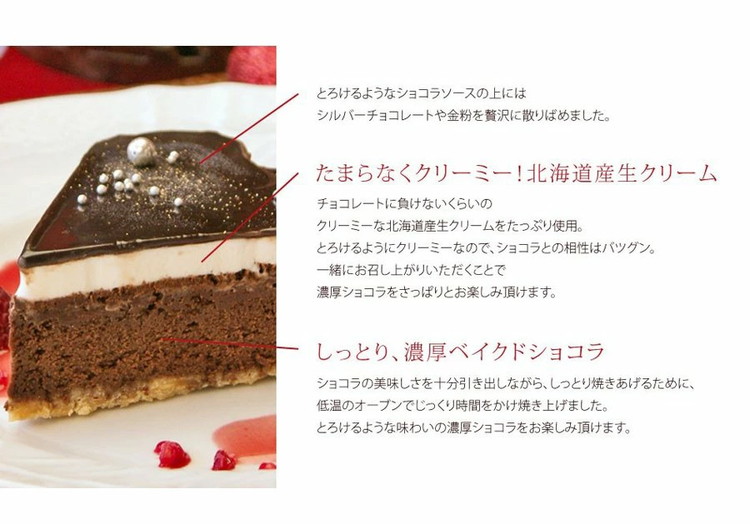 クリスマスケーキ　星空のショコラ 5号 4-6人分　パティスリー天使のおくりもの ※離島への配送不可 ※2025年12月上旬～12月下旬頃に順次発送予定