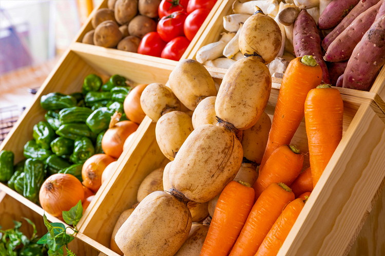 アウラテラス茨城 グランピング　宿泊利用券15,000円分（1枚）　※離島への配送不可　※2025年9月上旬頃より順次発送予定