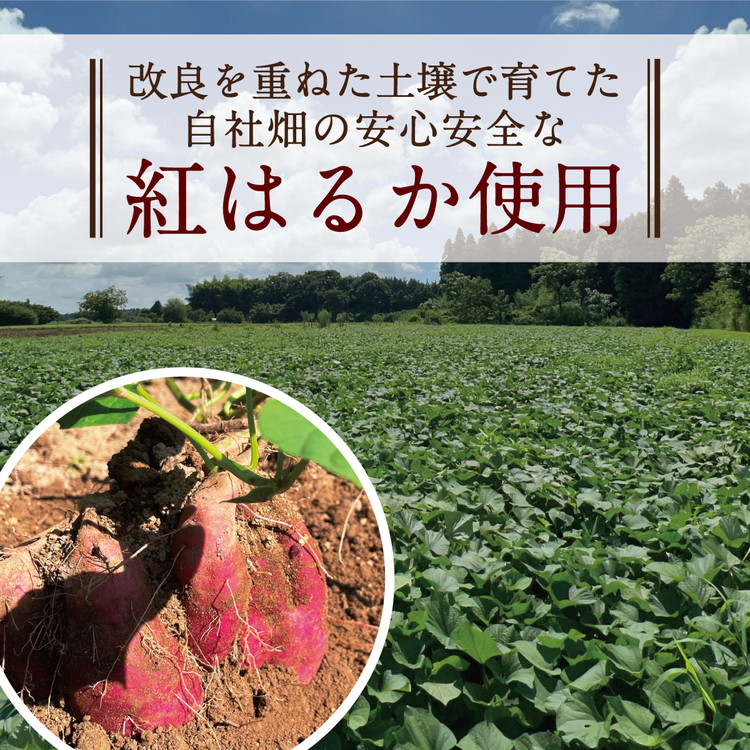 半熟ほしいも 5パック（贈答箱入り）茨城県産紅はるか使用　無添加　※離島への配送不可