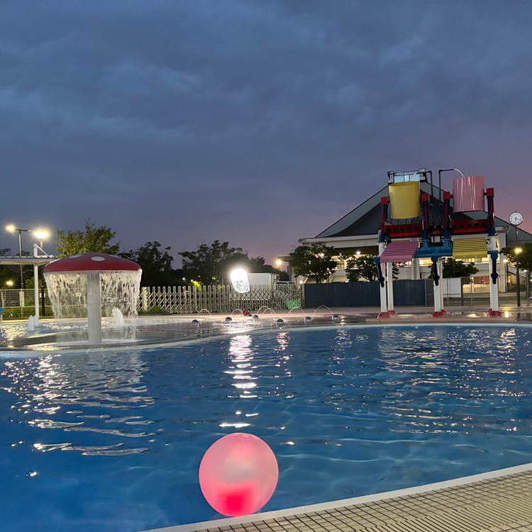 【期間限定】水郷プール 夜間貸切権 ナイトプール 夏 イベント チケット 貸し切り 茨城県 土浦市　※離島への配送不可
