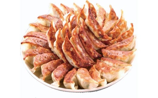 【7ヶ月定期便】ゆきむら壱番亭の肉餃子3パック(48個入り) ※離島への配送不可