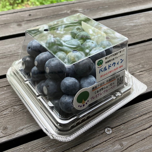 【先行予約30セット限定】大粒完熟ブルーベリー2種セレクト食べ比べセット ※2026年7月～8月中旬頃に順次発送予定 ※離島への配送不可
