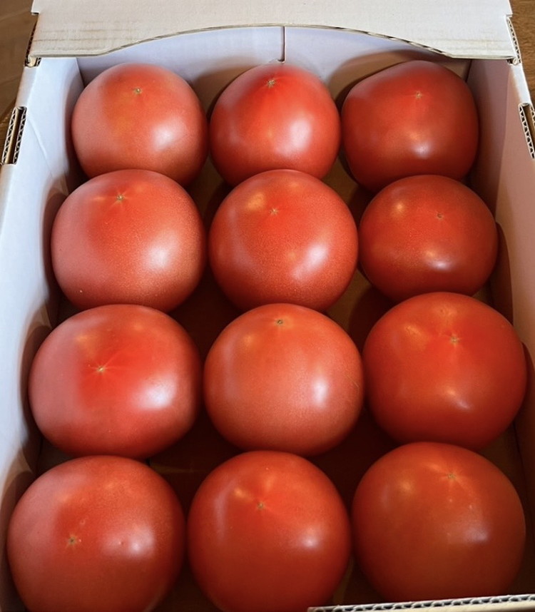 トマト「プリマドンナ」・「桃太郎」・「かれん」ギュッと美味しさ詰まったトマト 2kg 箱入り ※離島への配送不可 ※2026年2月～4月下旬頃に順次発送予定