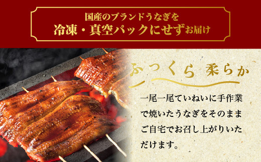 国産うなぎ白蒲セット4本【最短3日発送】うなぎの白焼き（120g～130g×2尾）、うなぎの蒲焼き（120g～130g×2尾）、男のきくらげのセット｜国産のブランド鰻を職人が丁寧に焼き上げた蒲焼きと白焼き。土用の丑の日に！※離島への配送不可
