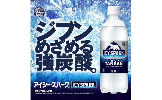 【2ヶ月定期便】【強炭酸】 カナダドライ(CANADA DRY) コカ・コーラ アイシー・スパーク 500ml×24本※離島への配送不可