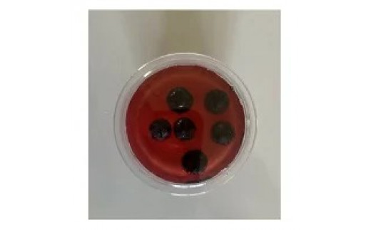 ブルーベリーとプラムの手作りゼリー【配送不可地域：離島】