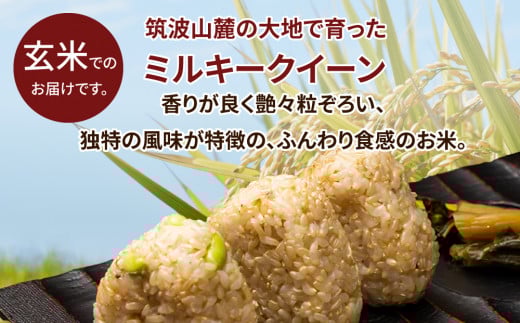 令和7年産 茨城県産 ミルキークイーン 玄米（5kg×1袋） | 原料米調整地:茨城県土浦市 便利な少量5kgでのお届け。このお米は石抜き機、色彩選別機の処理済みです。※離島への配送不可　※2025年10月下旬頃～2026年7月下旬頃に順次発送予定