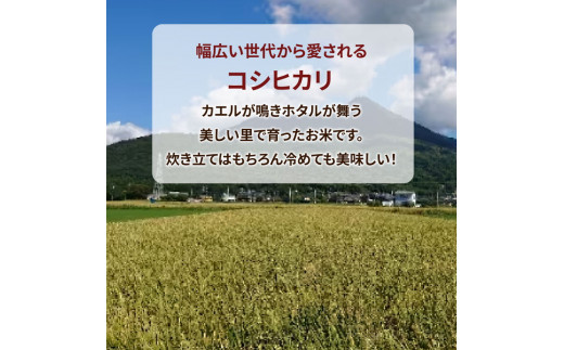 令和7年産米 土浦市産 コシヒカリ 精米5kg◇ ｜ 茨城県土浦市のお米が収穫される旧新治村地区は、ホタルが舞うのどかな里です ※離島への配送不可 ※2025年9月中旬～2026年7月下旬頃に順次発送予定