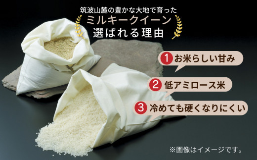 令和7年産｜茨城県産 ミルキークイーン 精米・合計10kg（5kg×2袋）茨城県産のお米ミルキークイーンは、モチモチした食感が特徴の低アミロース米 ※離島への配送不可