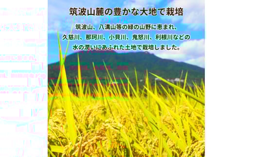 令和7年産茨城県産コシヒカリ・あきたこまち　精米　お米詰合せ　合計10kg (5kg×2袋) ※離島への配送不可 ※2025年9月下旬～2026年7月下旬頃に順次発送予定