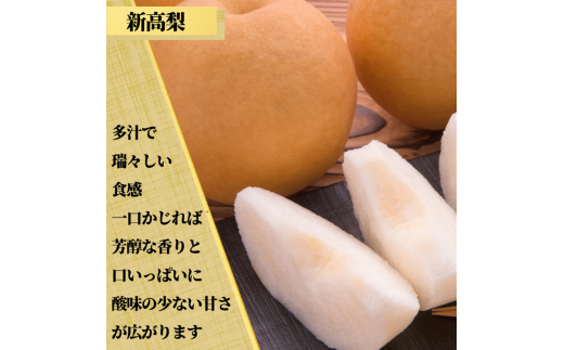 茨城県産【新高梨】約5kg【茨城県共通返礼品　かすみがうら市産】※2025年9月中旬～12月下旬頃に順次発送予定 ※離島への配送不可