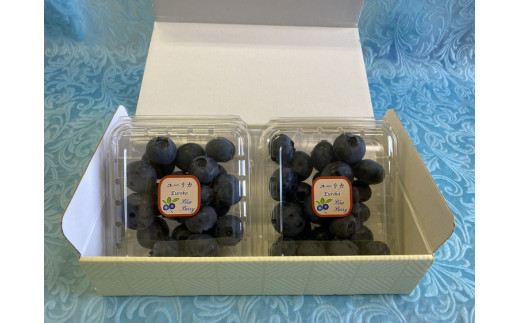 ユーリカ ブルーベリー 大粒 ジャンボサイズ 4パック｜生果実 甘い フルーティー 高級感 パリッと食感 ※離島への配送不可