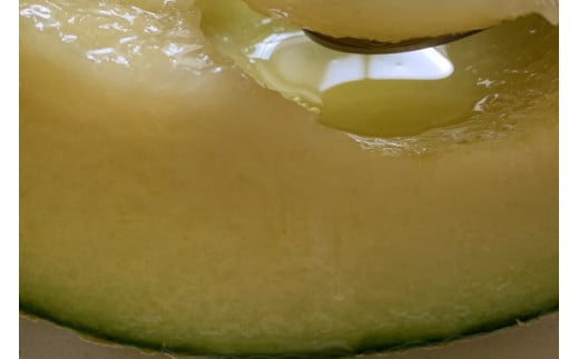 【先行予約】オリジナルブランド藤右衛門メロン4～5玉 芳醇な薫り緻密な果肉 爽やかな甘みをぜひお楽しみください　※離島への配送不可　※2025年5月下旬～6月下旬頃に順次発送予定