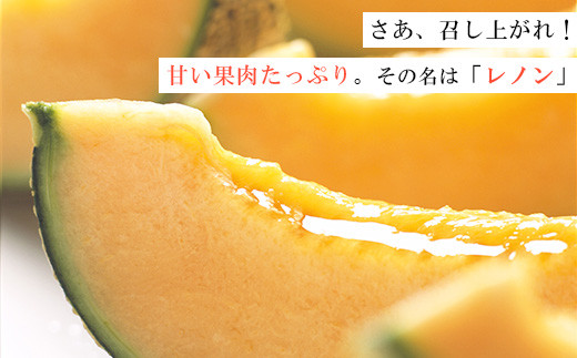 【先行予約】レノンハート3～4個　※離島への配送不可　※2025年5月下旬～6月下旬頃に順次発送予定