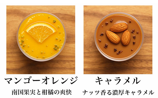 乳酸菌スイーツアソート10個入 　パティスリー天使のおくりもの　※離島への配送不可