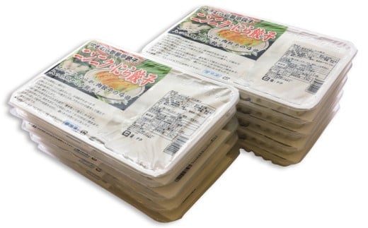 【4ヶ月定期便】ゆきむら壱番亭のニンニクにら餃子10パック(160個入り) ※離島への配送不可