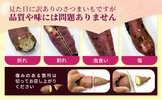 【訳あり】生芋10kg　SSサイズ～2Lサイズ（サイズバラ）　※離島への配送不可　※2025年12月下旬頃より順次発送予定