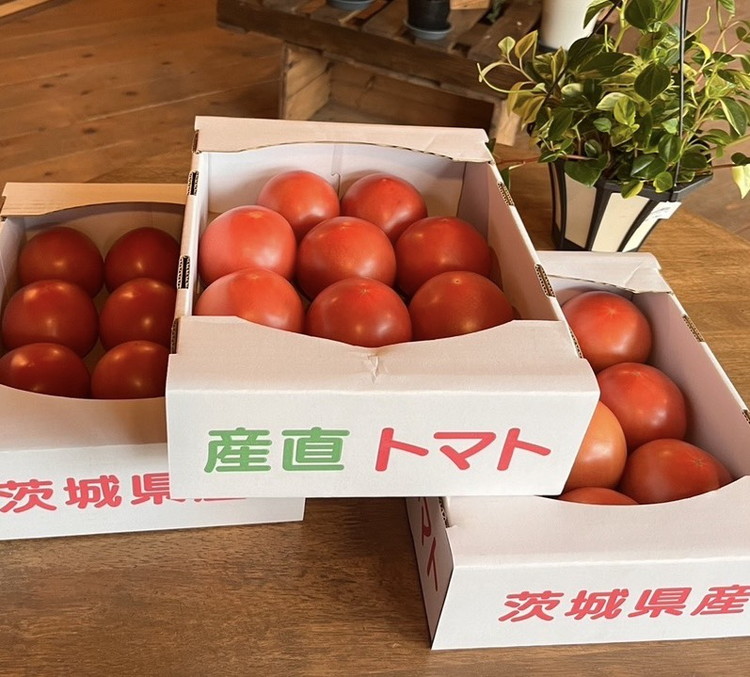 トマト「プリマドンナ」・「桃太郎」・「かれん」ギュッと美味しさ詰まったトマト 2kg 箱入り ※離島への配送不可 ※2026年2月～4月下旬頃に順次発送予定