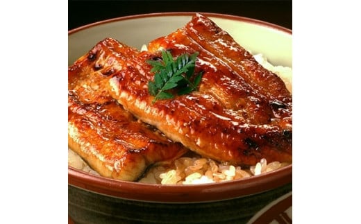 創業大正五年　佃煮とうなぎ小松屋　うなぎ蒲焼5枚詰合せ | メディアに紹介されたうなぎ屋 国産 冷蔵 うなぎ 鰻 ウナギ 蒲焼き かば焼き 土用丑の日 ※離島への配送不可