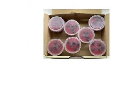 ブルーベリーとプラムの手作りゼリー【配送不可地域：離島】