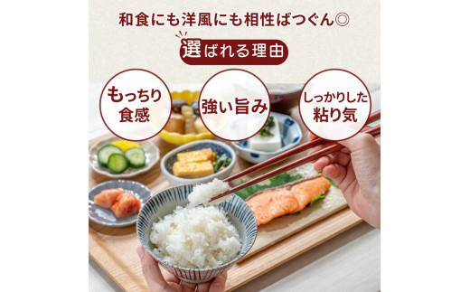 令和7年産 特A※評価地区 筑波山麓ホタルの里厳選米コシヒカリ15kg　透き通った大粒米　※離島への配送不可