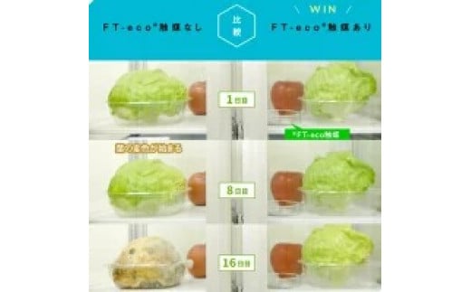プラチナ触媒を利用した野菜・果物の鮮度維持グッズ『FT-eco Ball（エフテコボール）』1個｜茨城県土浦発！FT-eco®触媒（エフテコ触媒）を活用した、野菜・果物の鮮度を守るアイテム。野菜・果物の鮮度維持、防臭効果が期待。取換期間も1年間と長持ち※離島への配送不可
