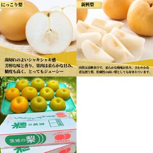 茨城県産 梨【品種おまかせ】約5kg【茨城県共通返礼品　かすみがうら市産】※2025年9月中旬～2026年1月下旬頃に順次発送予定 ※離島への配送不可