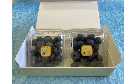 ファーストブラッシュ ブルーベリー 大粒 上品な甘さ 4パック｜生果実 香りが強い 爽やか フルーティー 高級感 パリッと食感 ※離島への配送不可