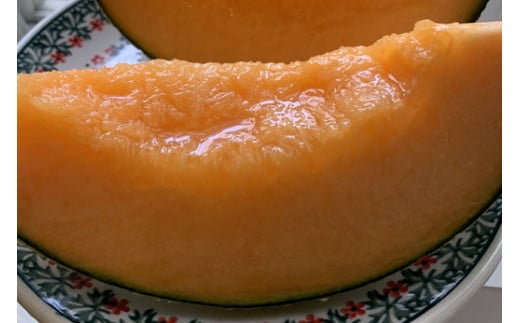 【先行予約】オリジナルブランド藤右衛門メロン2玉 芳醇な薫り緻密な果肉 爽やかな甘みをぜひお楽しみください　※離島への配送不可　※2025年5月下旬～6月下旬頃に順次発送予定