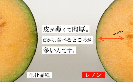 【先行予約】レノンハート3～4個　※離島への配送不可　※2025年5月下旬～6月下旬頃に順次発送予定