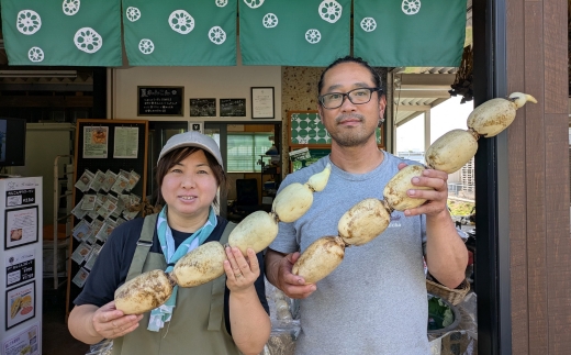 「ご当地冷凍食品アワード2025-2026」金賞受賞！！ シャキ！うまっ！れんこん餃子（40個） ｜ 茨城県 レンコン 蓮根 野菜 シャキシャキ 冷凍 食品 惣菜 中華 ぎょうざ ギョウザ ※2026年3月上旬～3月下旬頃に順次発送予定 ※離島への配送不可