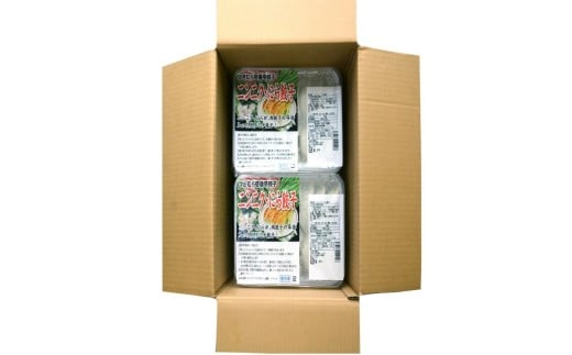 【9ヶ月定期便】ゆきむら壱番亭のニンニクにら餃子6パック(96個入り) ※離島への配送不可