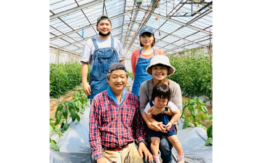 粒ぶどう シャインマスカット 約1.4kg（350g×4P）　※離島への配送不可　※2025年9月中旬～10月下旬頃に順次発送予定