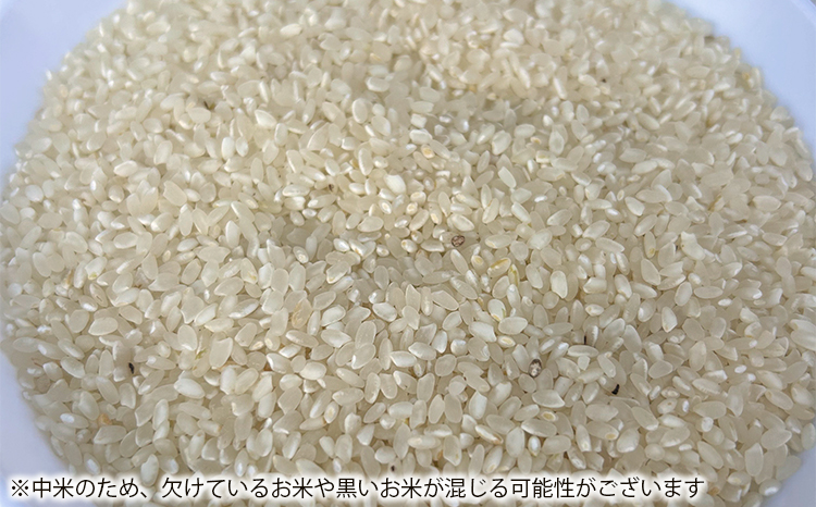 【令和7年産】訳あり コシヒカリ 中米 精米 10kg【茨城県共通返礼品　美浦村産】｜ 規格外 こしひかり 白米 ※離島への配送不可