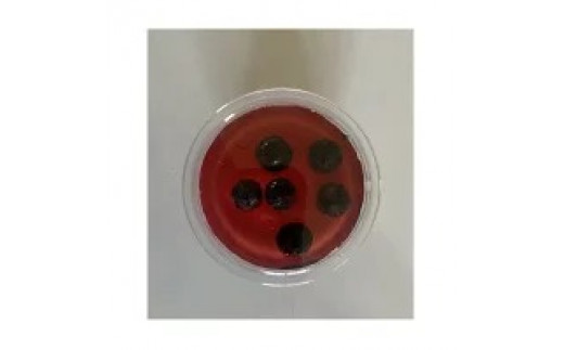 手作りブルーベリーマフィン6個&三色ゼリー8個セット【配送不可地域：離島】