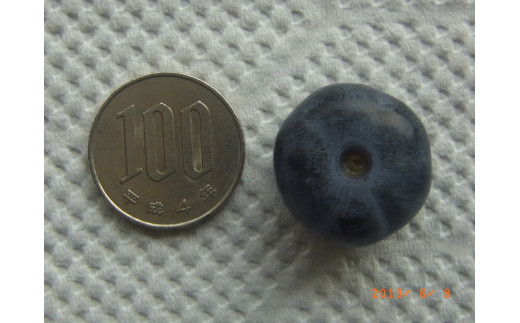 大粒 ブルーベリー食べ比べセット (C) 農薬不使用
※離島への配送不可
※着日指定不可