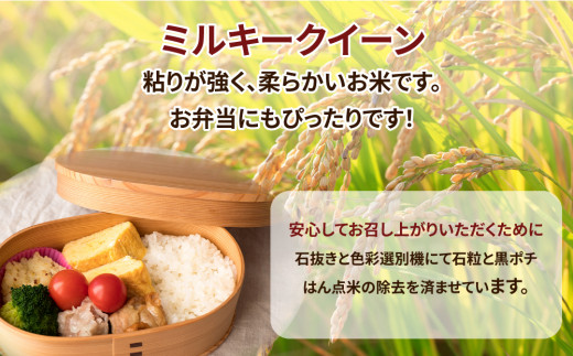 【定期便5ヶ月】令和7年産 茨城県産 ミルキークイーン 精米4kg（2kg×2袋） ※離島への配送不可　※2025年10月頃より発送開始