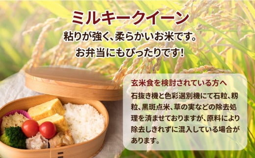 令和7年産 茨城県産 ミルキークイーン 玄米 2kg×4袋｜このお米は石抜き機、色彩選別機の処理済みです ※離島への配送不可　※2025年10月下旬頃～2026年7月下旬頃に順次発送予定