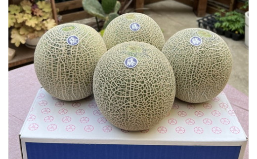 【先行予約】オリジナルブランド藤右衛門メロン4～5玉 芳醇な薫り緻密な果肉 爽やかな甘みをぜひお楽しみください　※離島への配送不可　※2025年5月下旬～6月下旬頃に順次発送予定