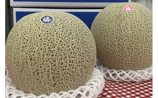 【先行予約】オリジナルブランド藤右衛門メロン2玉 芳醇な薫り緻密な果肉 爽やかな甘みをぜひお楽しみください　※離島への配送不可　※2025年5月下旬～6月下旬頃に順次発送予定