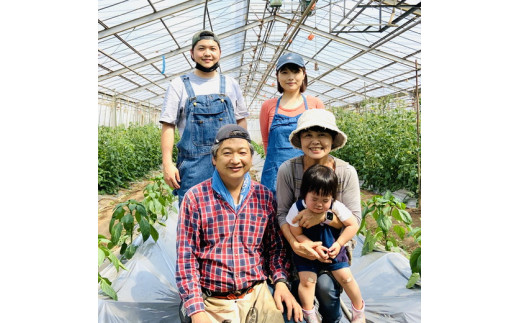 【先行予約】茨城県産シャインマスカット【約1.5キロ】 ※2025年9月中旬～10月下旬頃に順次発送予定