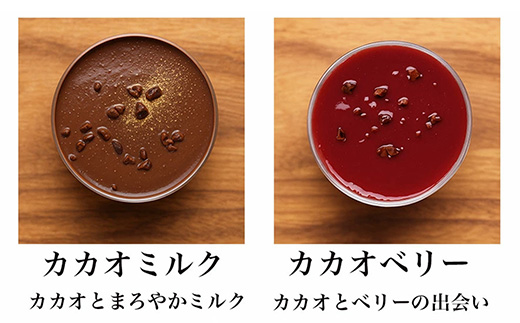 乳酸菌スイーツアソート10個入 　パティスリー天使のおくりもの　※離島への配送不可