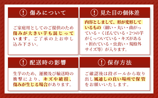 【訳あり】生芋10kg　SSサイズ～2Lサイズ（サイズバラ）　※離島への配送不可　※2025年12月下旬頃より順次発送予定